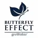 Butterfly Effect