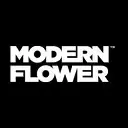 Modern Flower