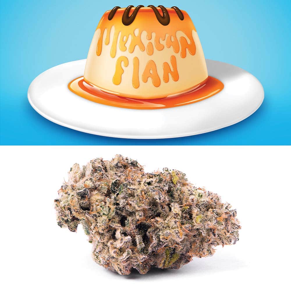 mexican flan - 14g  whole buds - hybrid 