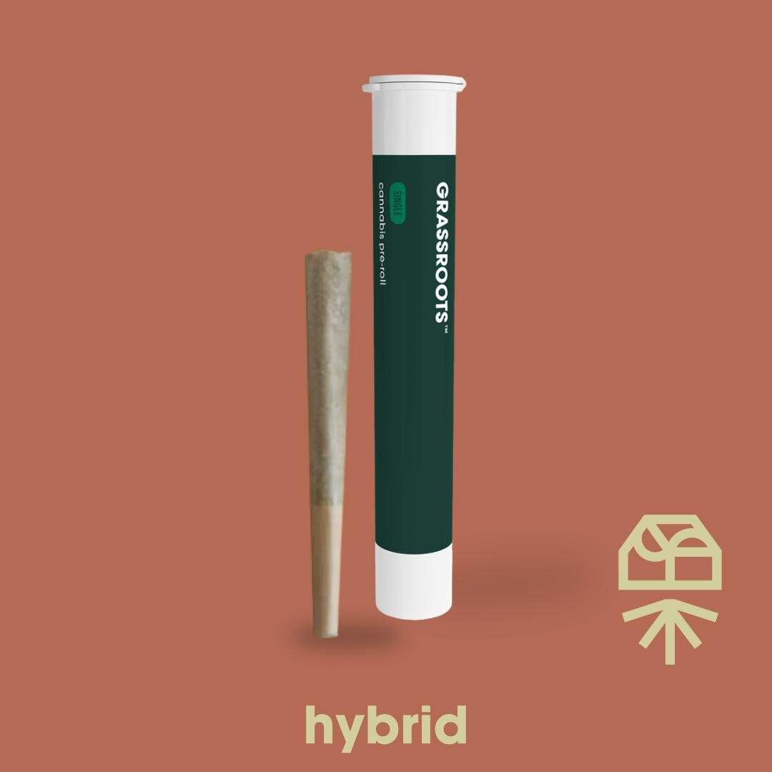 titan exp. - 1g  single - sativa 