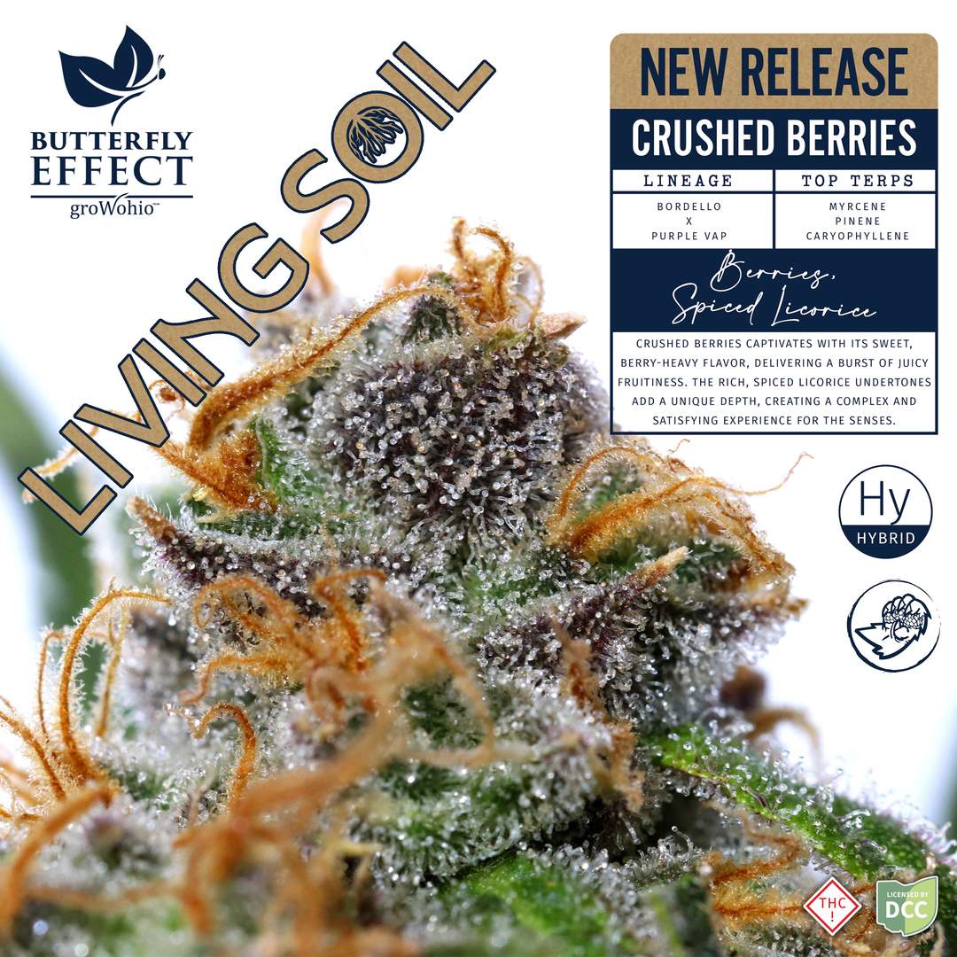 crushed berries - 2.83g  whole buds - indica 