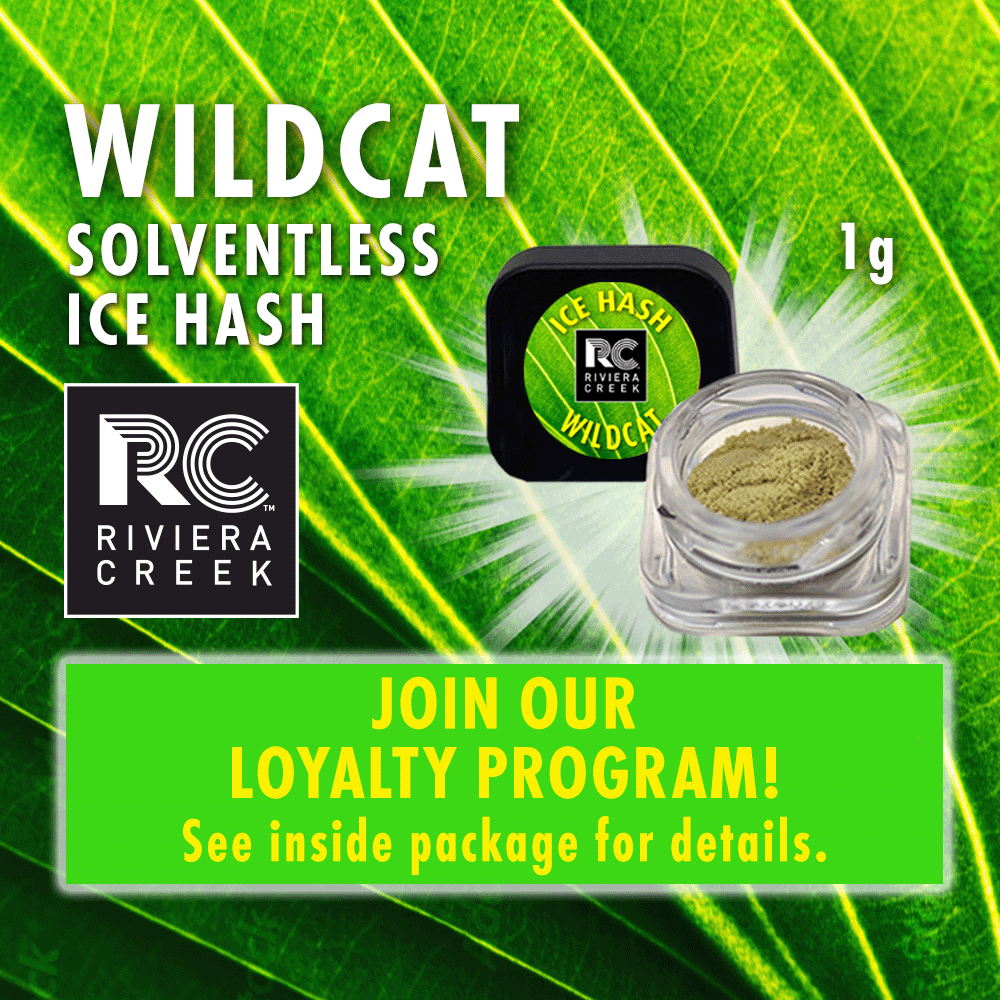 wild cat - 0.5g  hash - sativa 