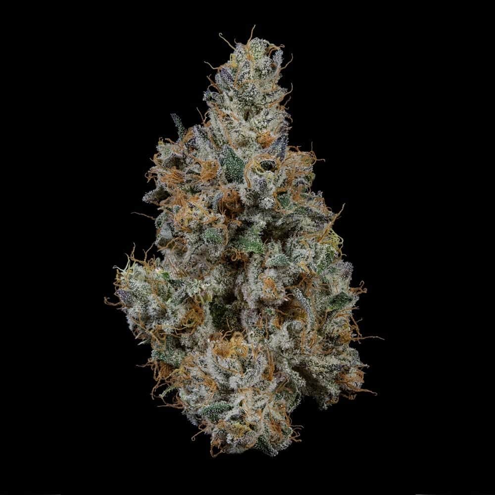 Grape Rtz - 14.15g Whole Buds - Indica