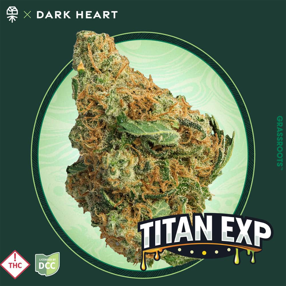 Titan Exp. - 2.83g Whole Buds - Sativa