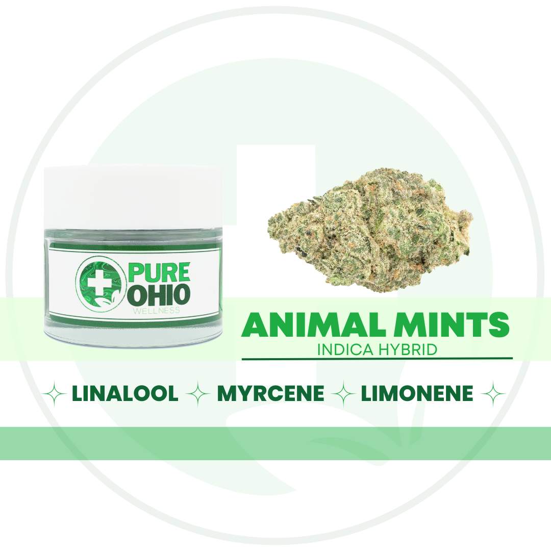animal mints - 2.83g  whole buds - hybrid 