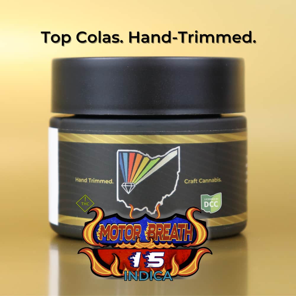 motorbreath - 2.83g  whole buds - indica 