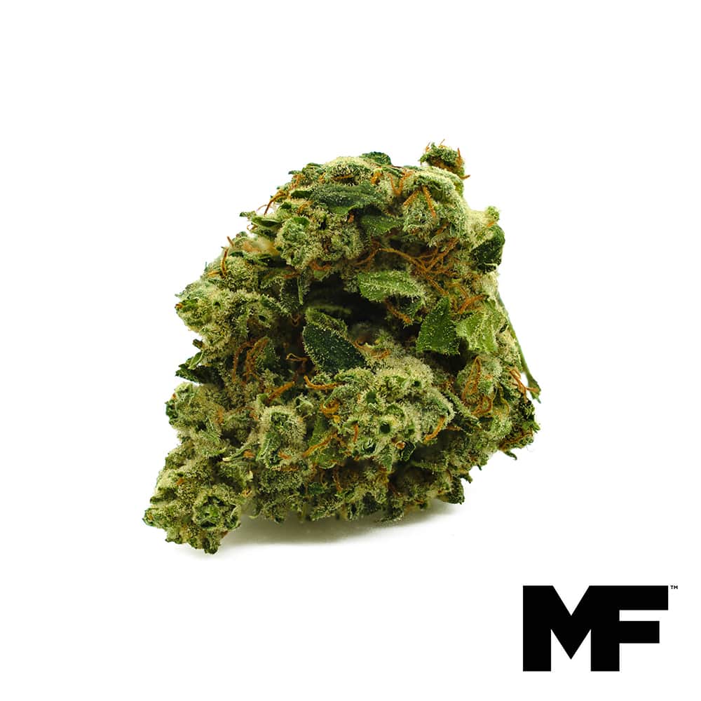 wood shiva - 3.5g whole buds - sativa