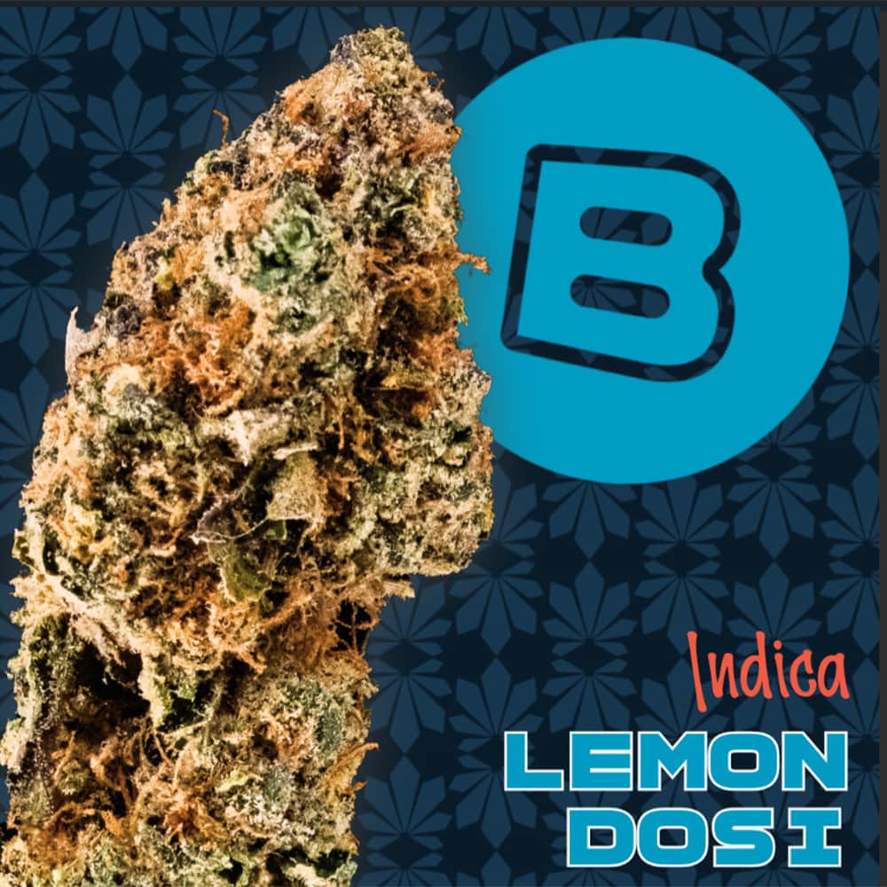 lemon dosi - 14.15g whole buds - indica
