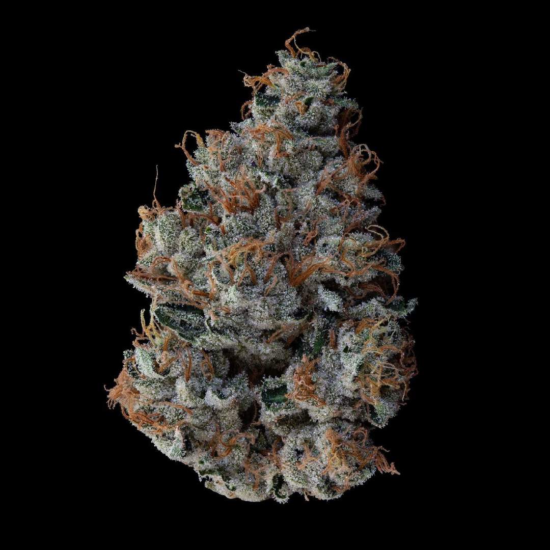 Motorbreath - 2.83g Whole Buds - Indica
