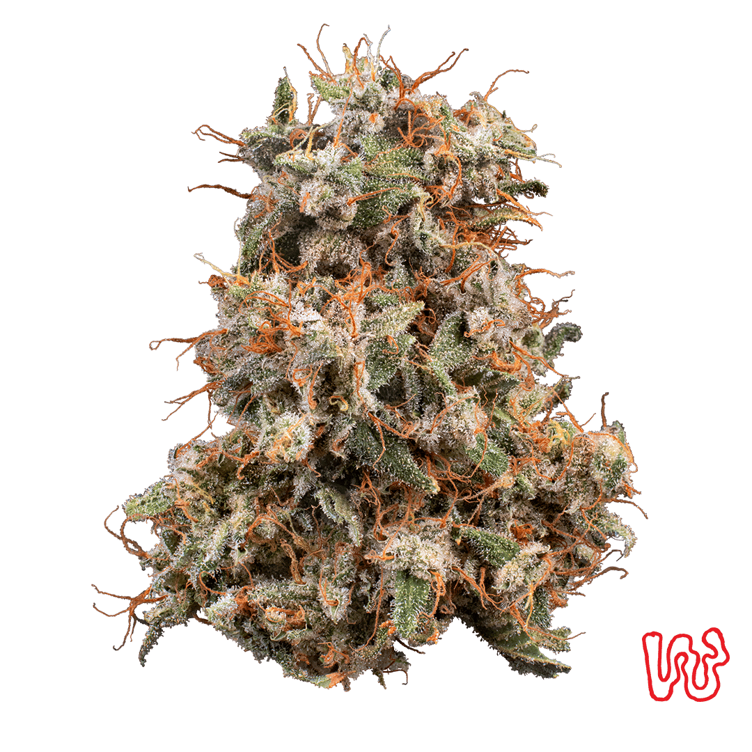 Banana Mac - 5.66g Whole Buds - Sativa