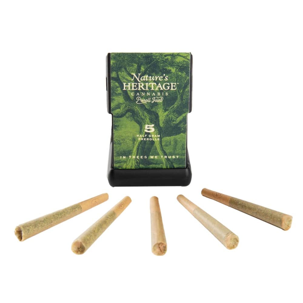 chestah the cheetah - 2.5g  packs - hybrid  - 5pk