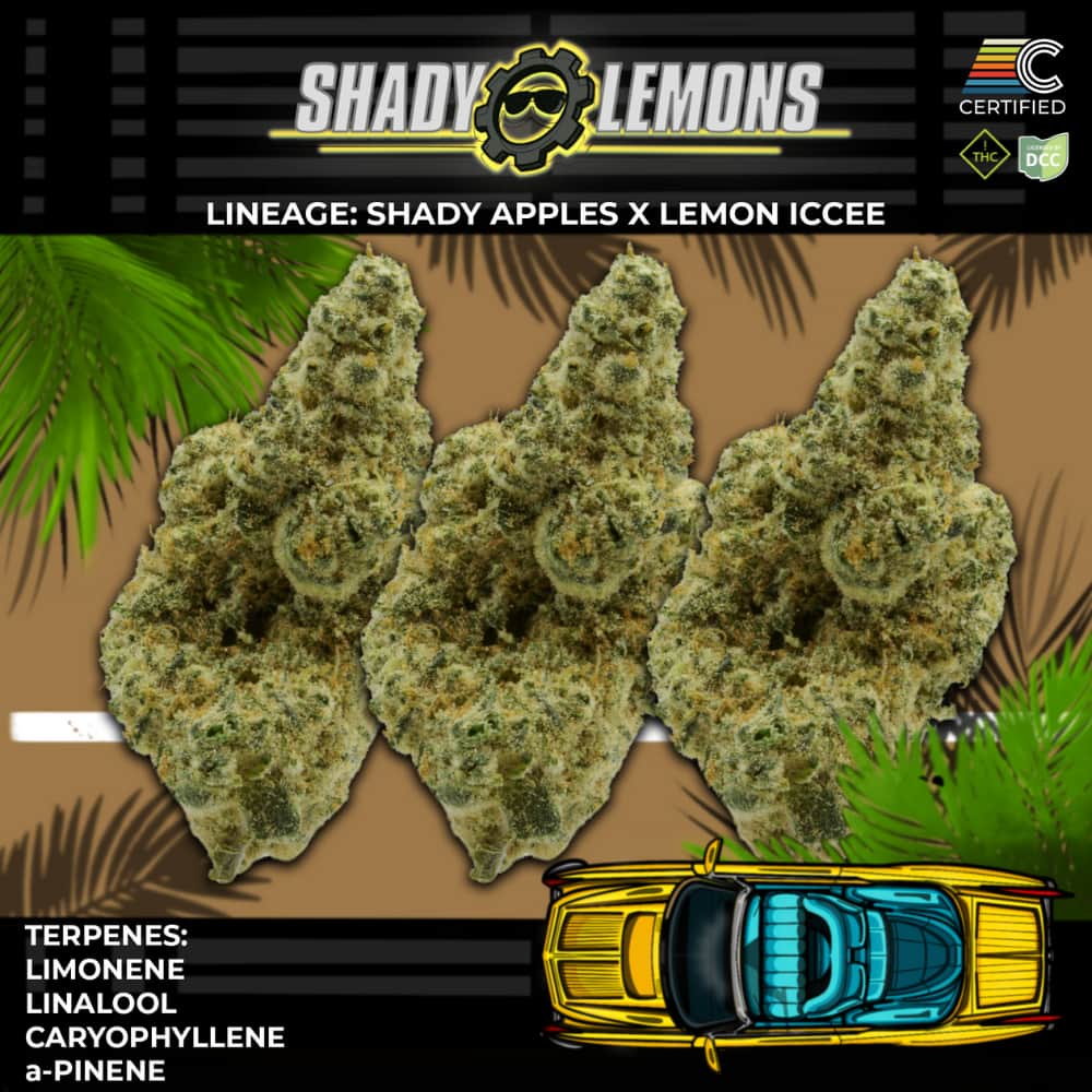 shady lemons - 2.83g  whole buds - hybrid 