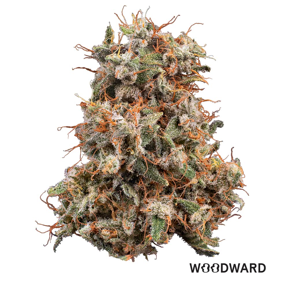 banana mac - 5.66g  whole buds - sativa 