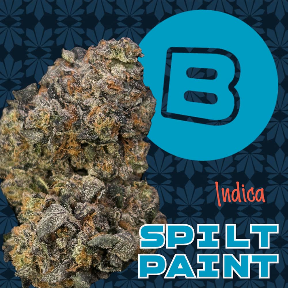spilt paint - 2.83g  whole buds - indica 