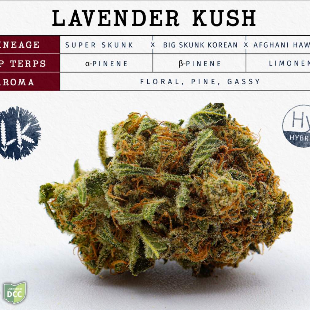 lavender kush - 28.3g  whole buds - hybrid 