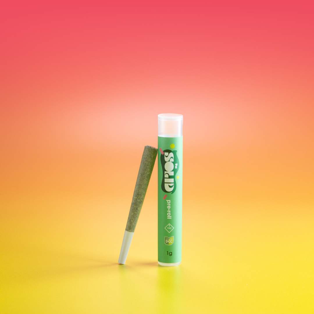 zlushie gush mintz - 1g single - indica