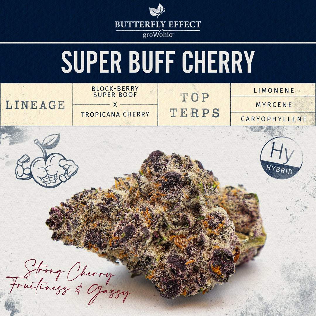 super buff cherry #26 - 2.83g whole buds - hybrid
