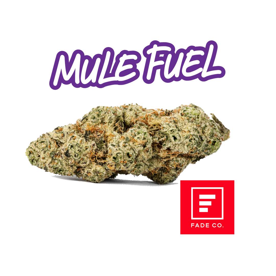 Mule Fuel - 7g Smalls - Hybrid