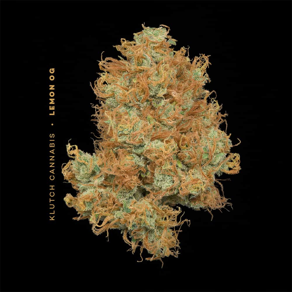 lemon og - 2.83g whole buds - sativa