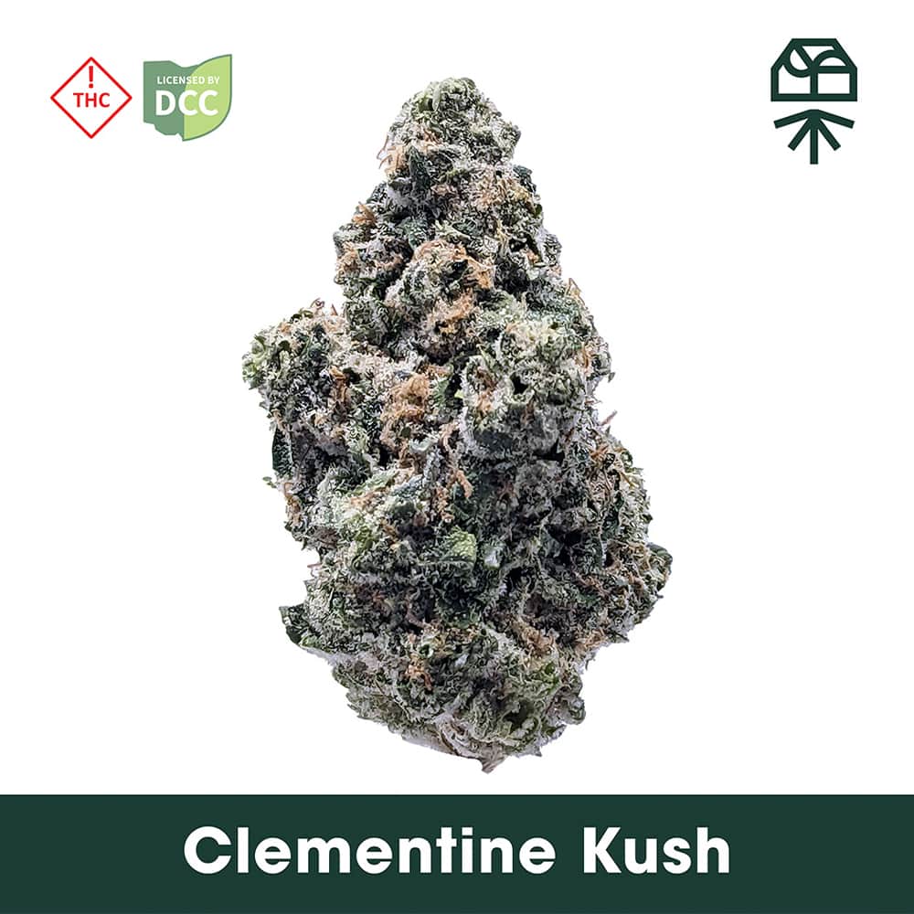 clementine kush - 2.83g  whole buds - hybrid 