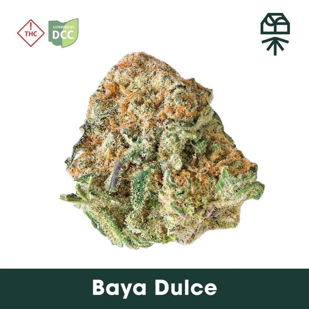 baya dulce - 5.66g  whole buds - sativa 