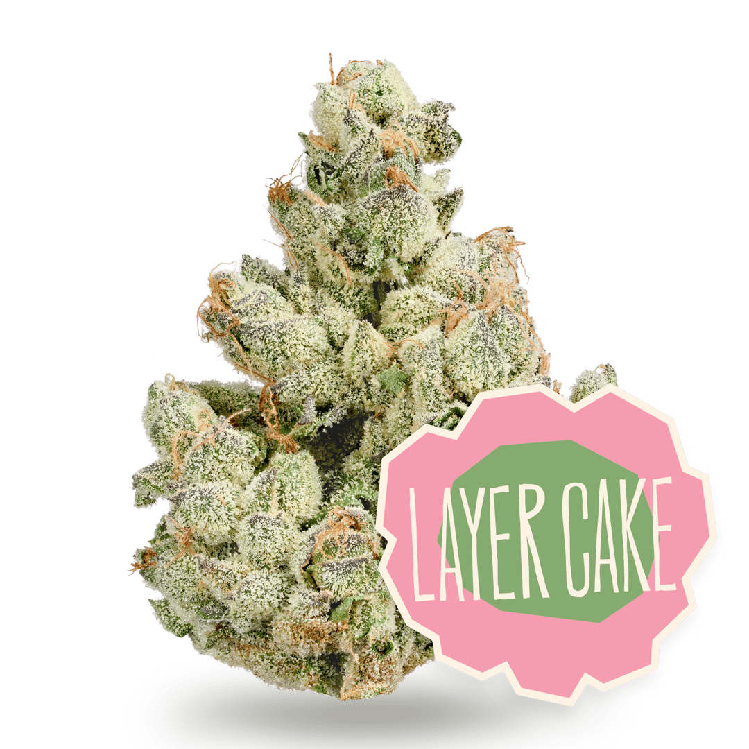 layer cake - 3.5g whole buds - hybrid