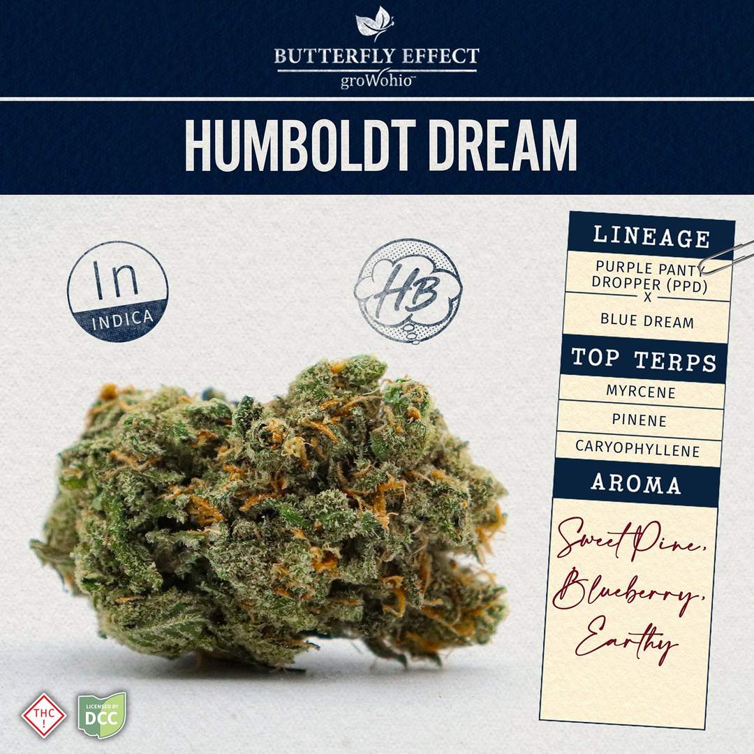 humboldt dream - 28.3g  whole buds - indica 