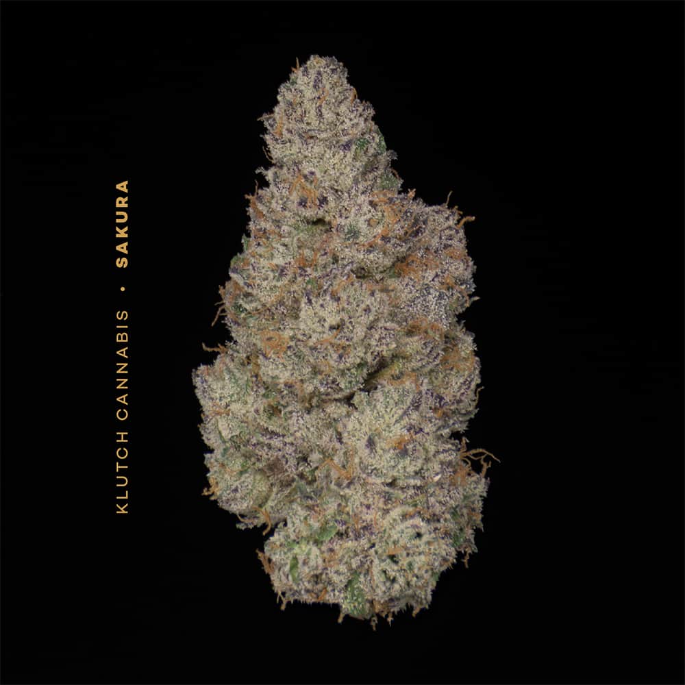 sakura - 2.83g whole buds - indica