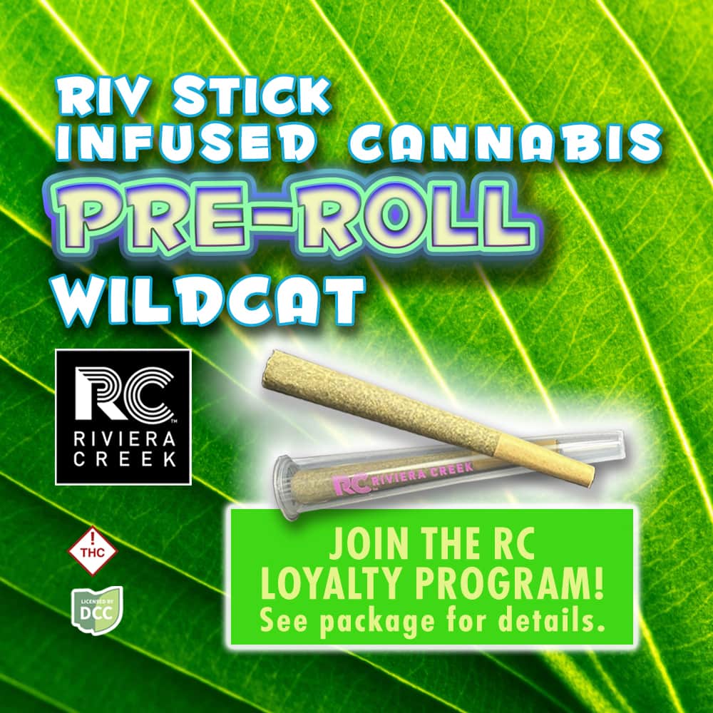 wild cat - 1g  infused - sativa 