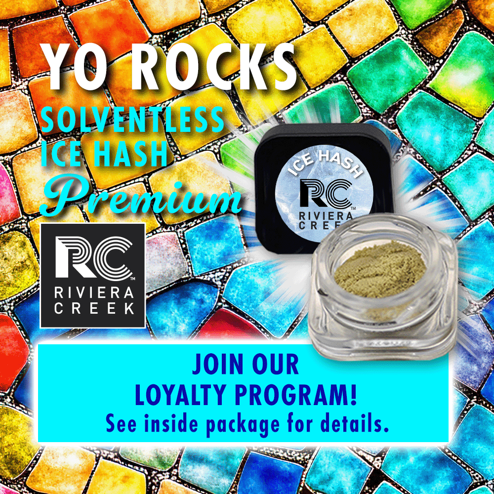 yo rocks - 0.5g hash - sativa