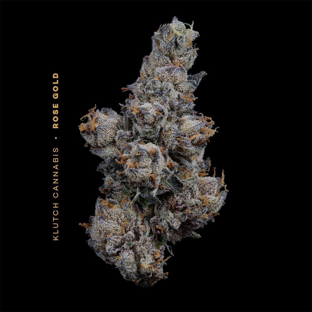 Rose Gold Rtz - 14.15g Whole Buds - Indica