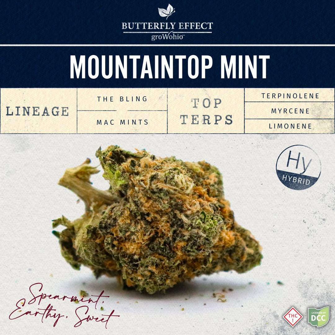 mtm - 2.83g  whole buds - hybrid 