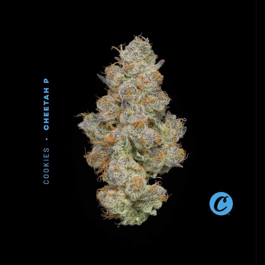 cheetah p - 2.83g whole buds - sativa