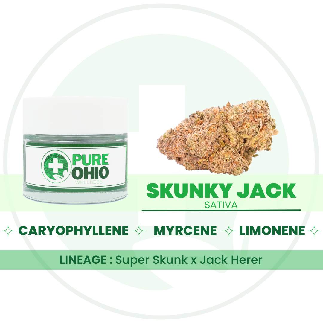 Skunky Jack - 2.83g Whole Buds - Sativa