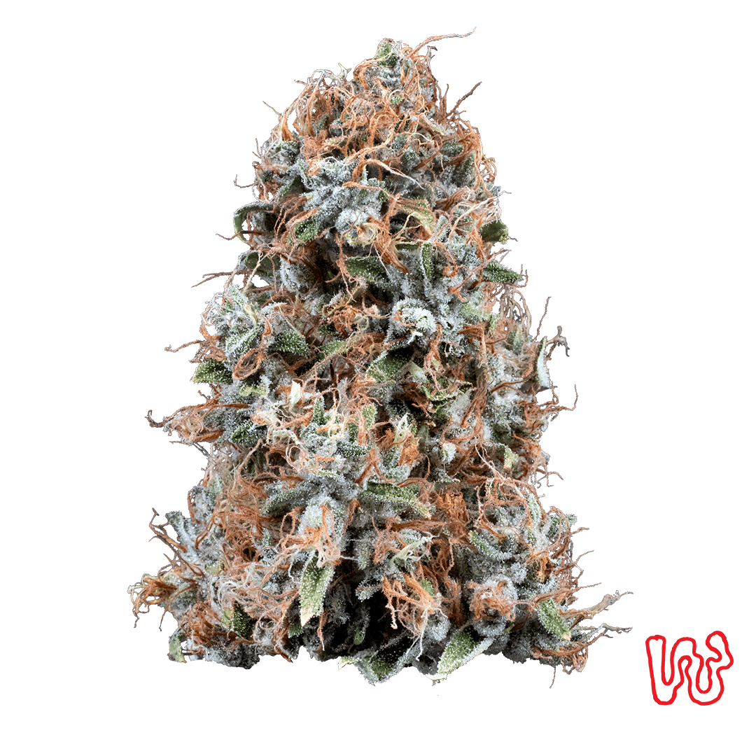 Blueberry Cheesecake - 5.66g Whole Buds - Hybrid