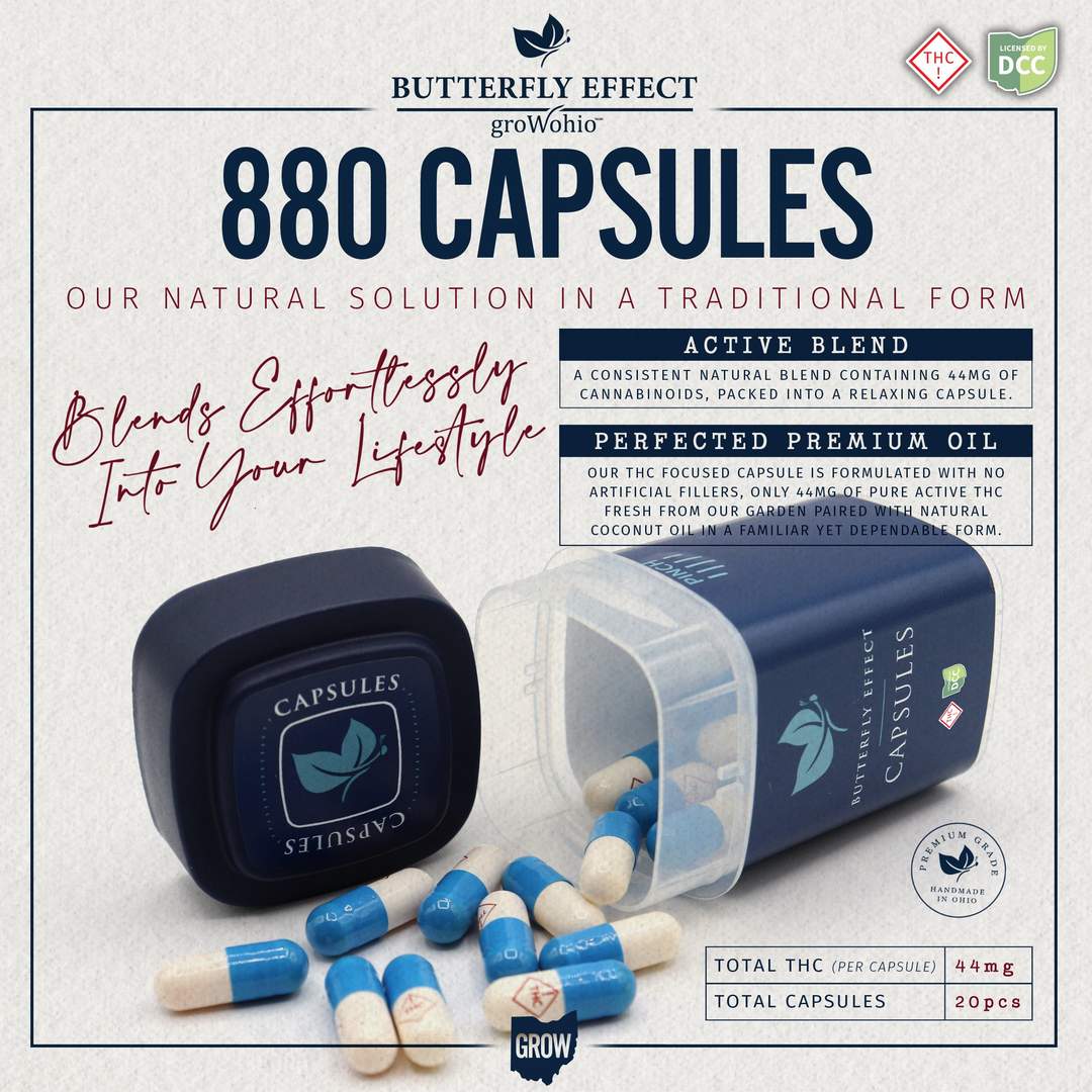 wellness capsules - 880mg  capsules   - 20pk
