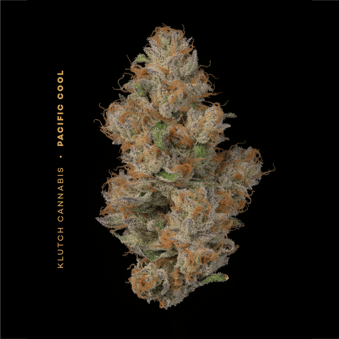 pacific cool - 2.83g whole buds - sativa