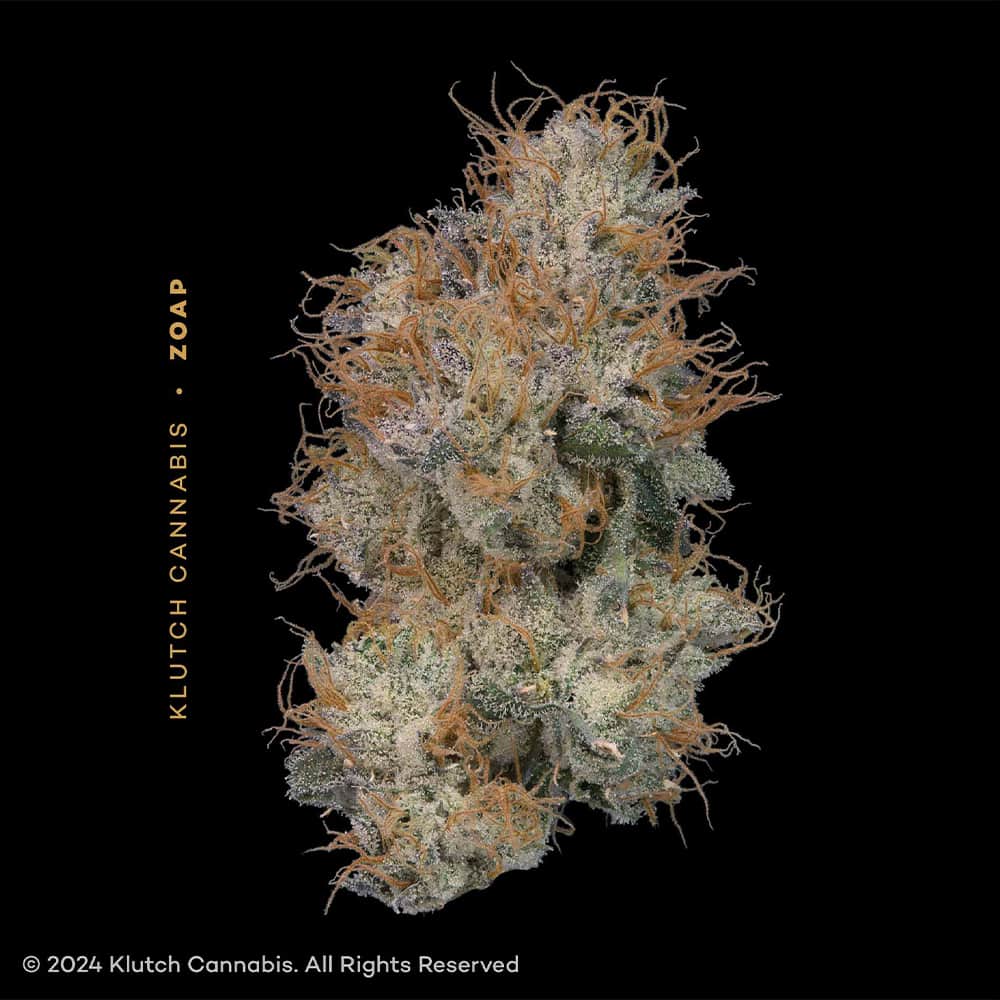 zoap - 2.83g whole buds - hybrid