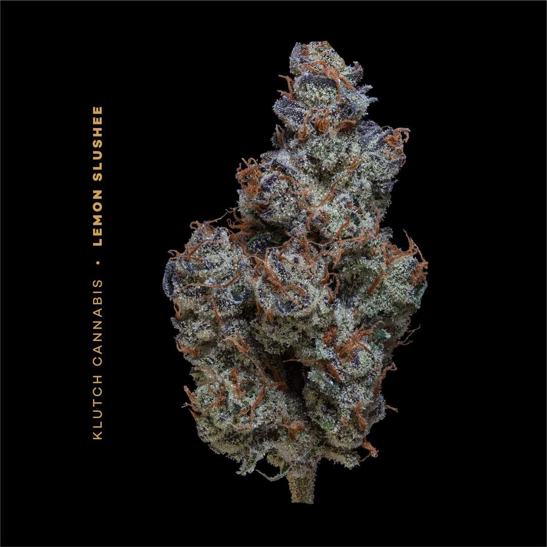 lemon slushee - 14.15g  whole buds - sativa 