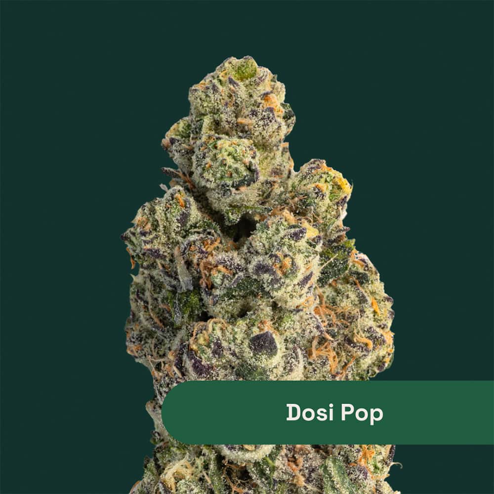 dosi pop - 2.83g  whole buds - indica 