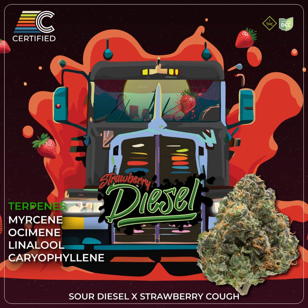 strawberry diesel - 2.83g whole buds - sativa