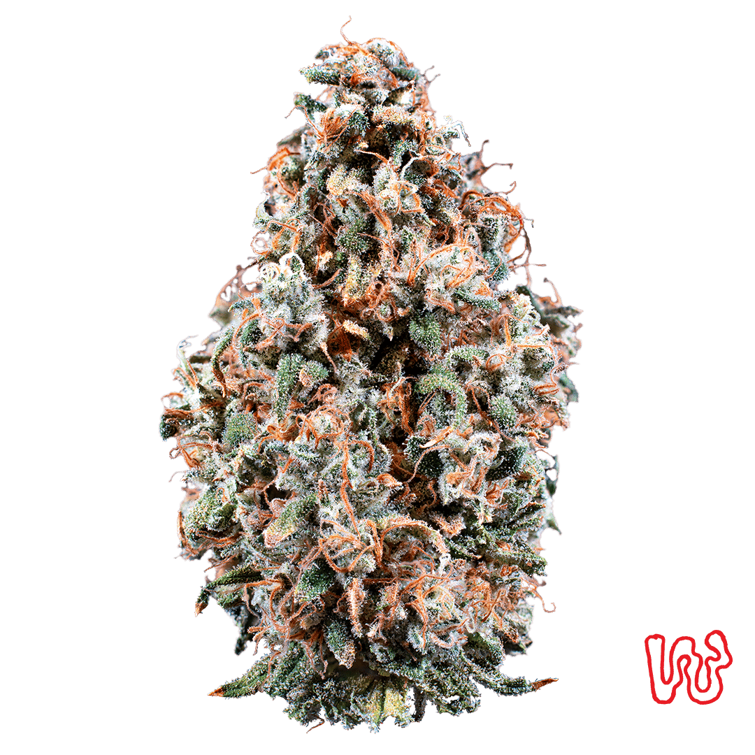 Cherry Jungle - 14.15g Whole Buds - Hybrid