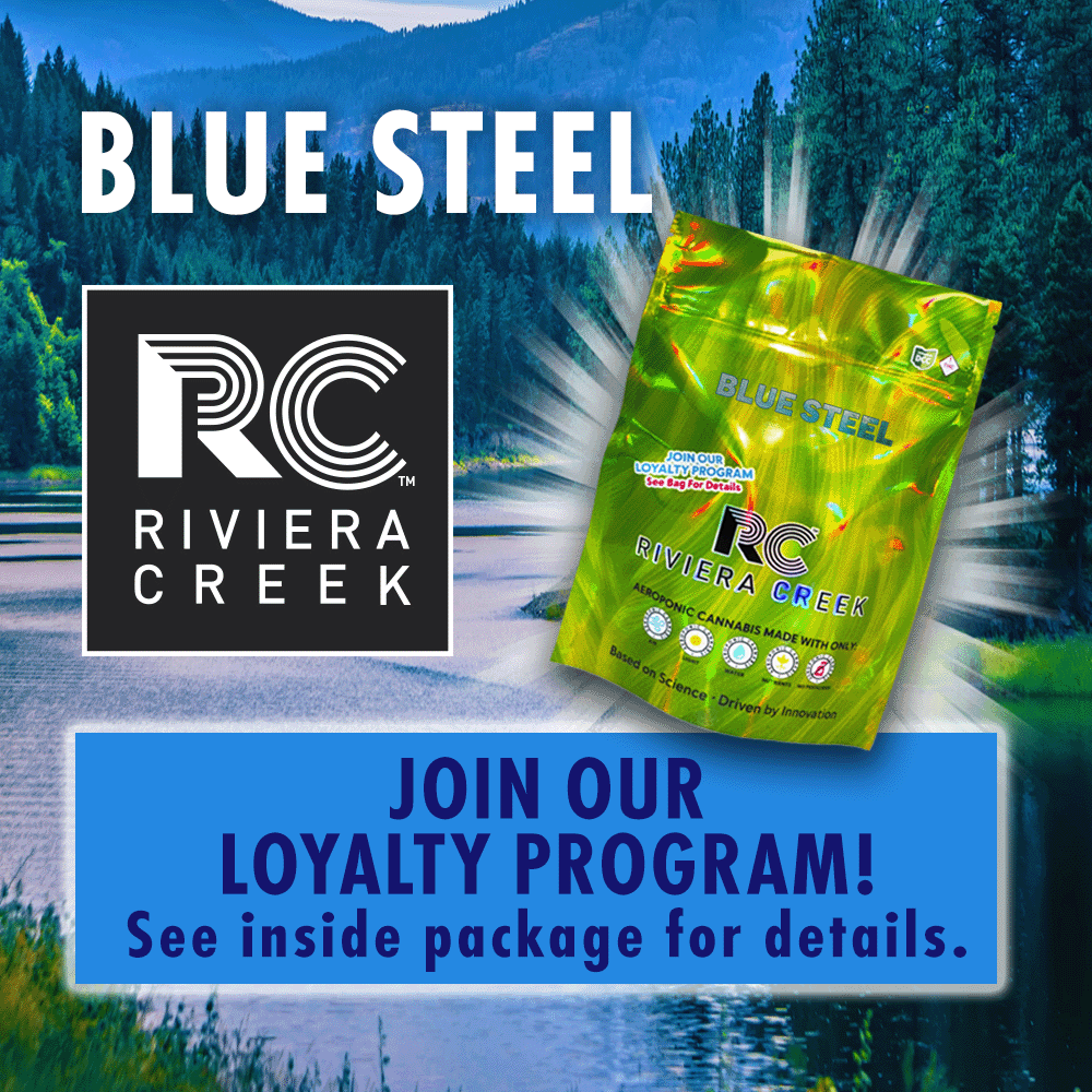 blue steel - 14.15g  whole buds - sativa 