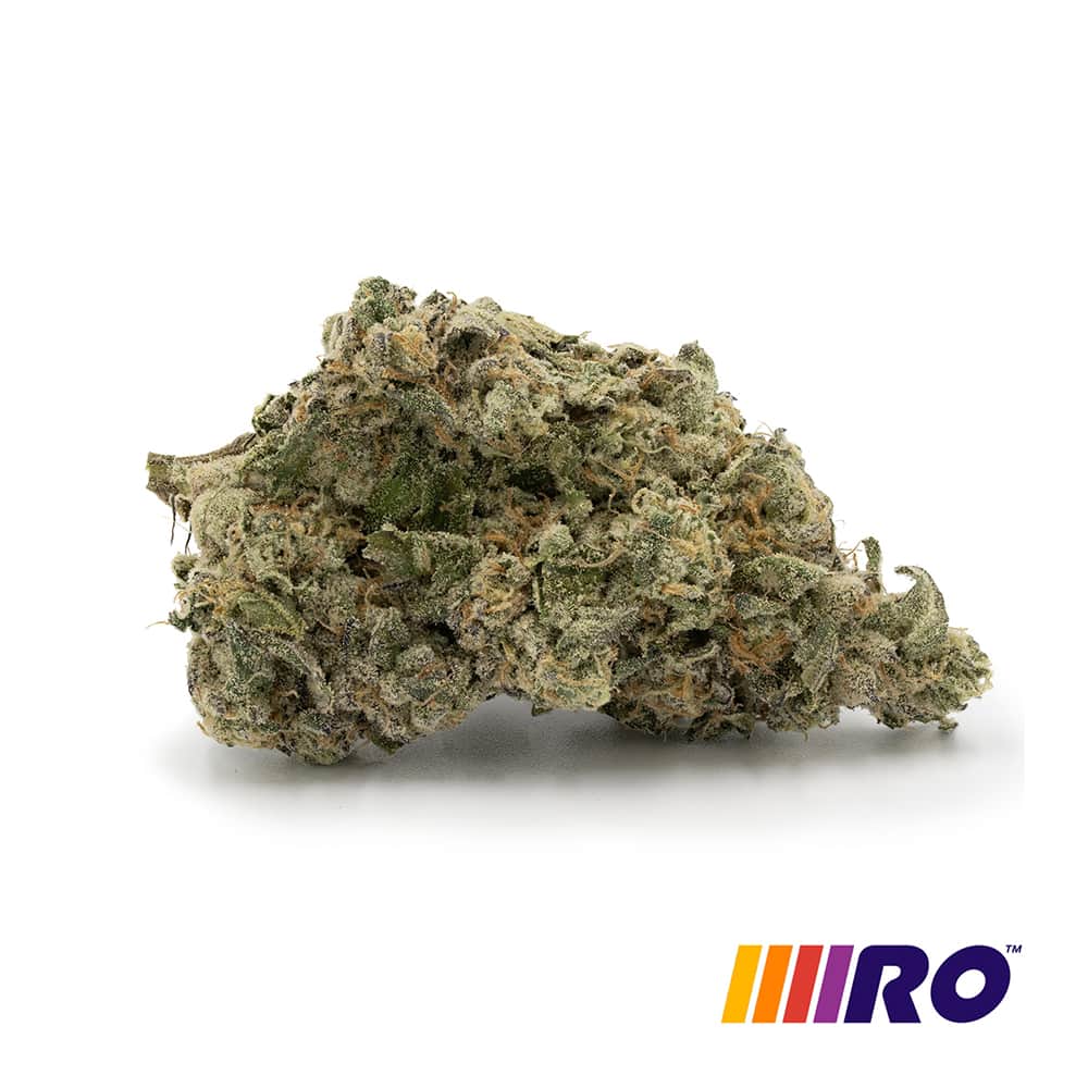 Gush Mintz - 28.3g Whole Buds - Indica