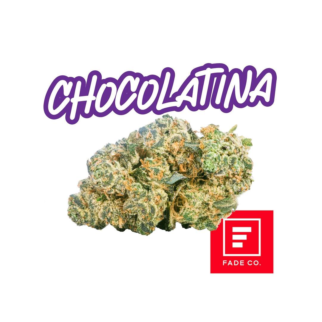 Chocolatina - 3.5g Whole Buds - Hybrid