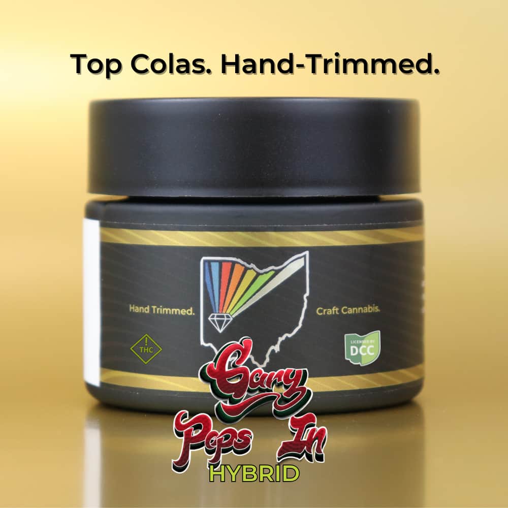 Gary Pops In - 2.83g Whole Buds - Hybrid