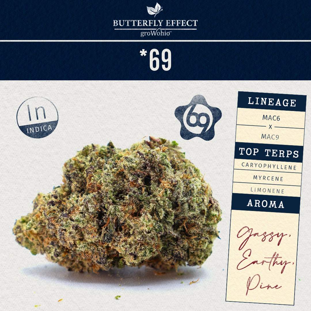 *69 - 2.83g  whole buds - indica 