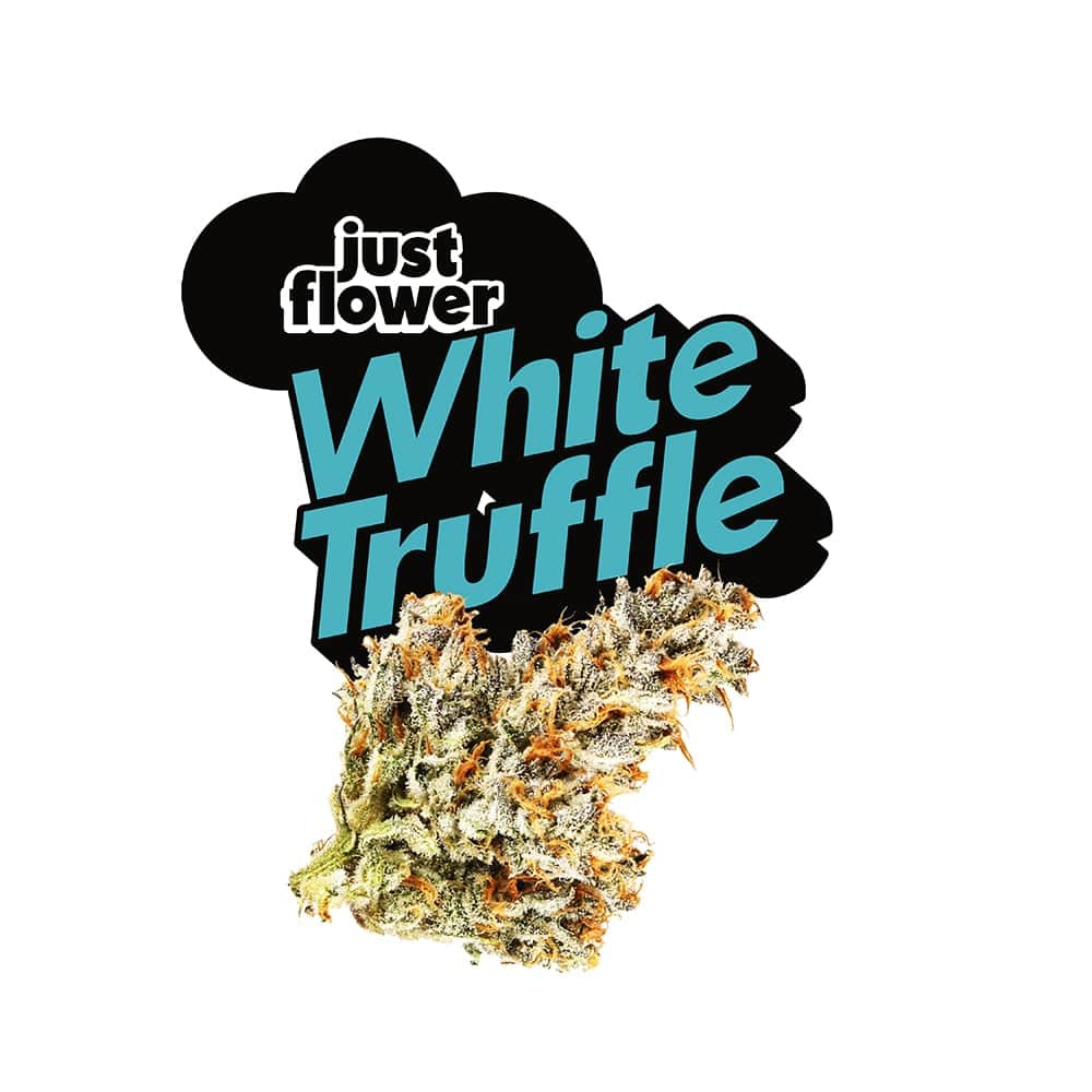 white truffle - 15g ground - hybrid