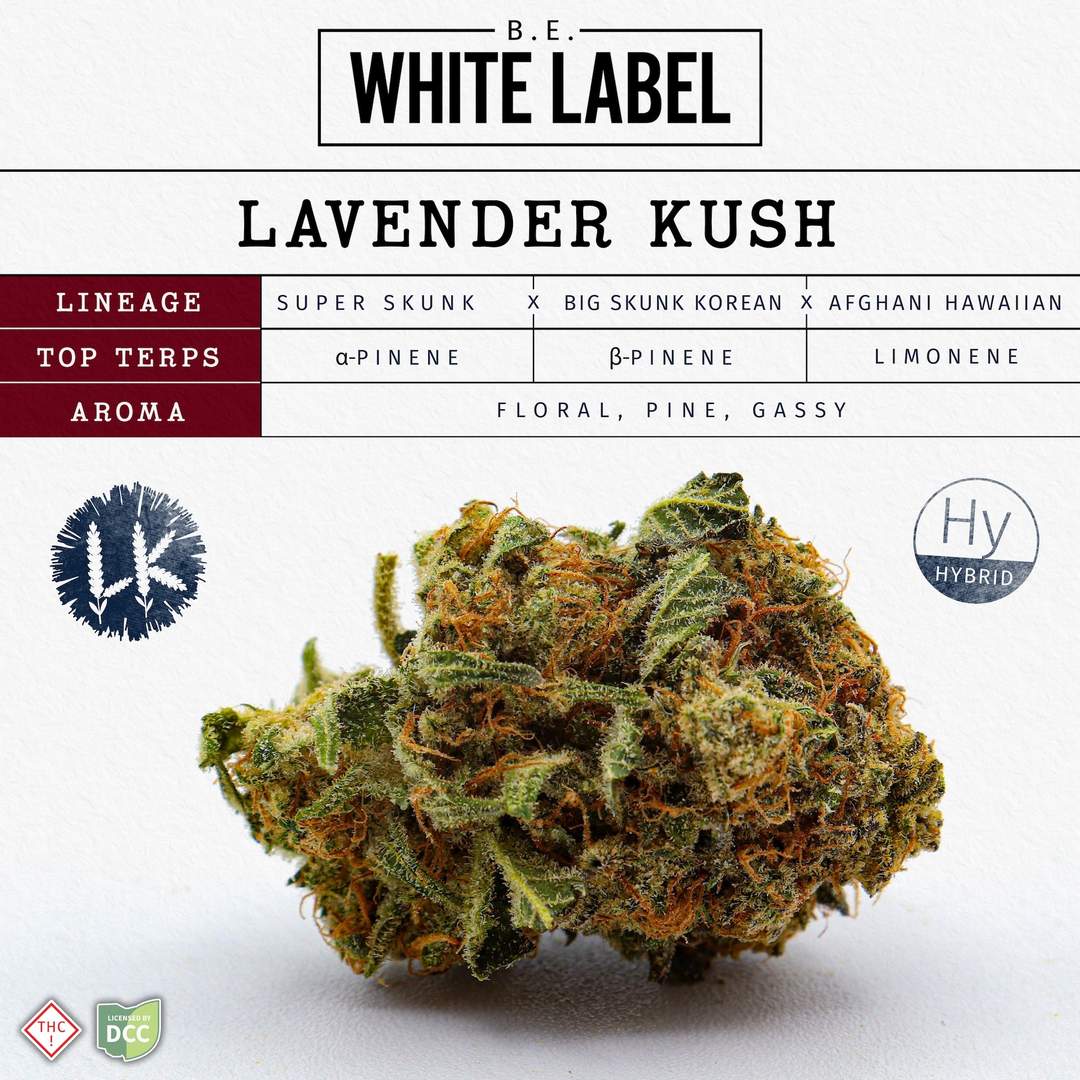 lavender kush - 2.83g whole buds - hybrid