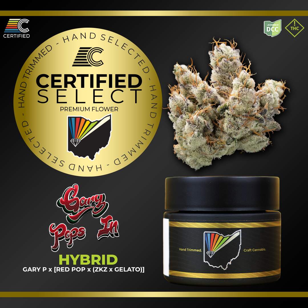 Gary Pops In - 2.83g Whole Buds - Hybrid